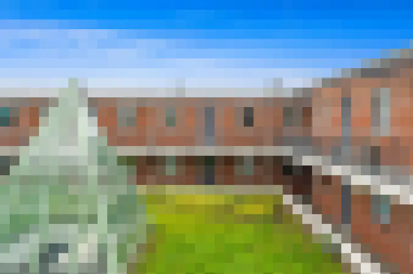 Fluitekruid 48 Den Hoorn thumbnail 10