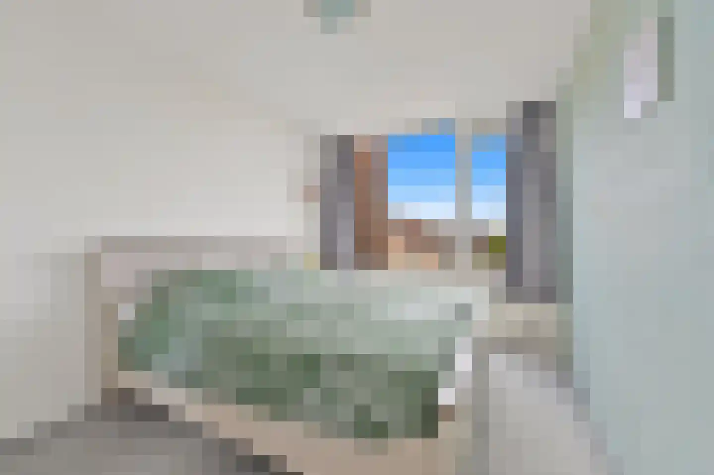 Fluitekruid 48 Den Hoorn thumbnail 18