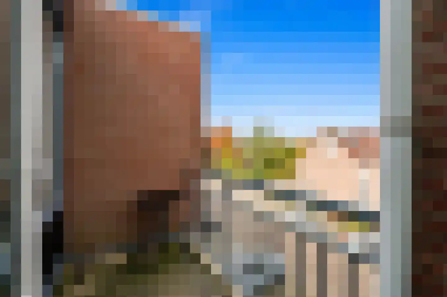 Fluitekruid 48 Den Hoorn thumbnail 21