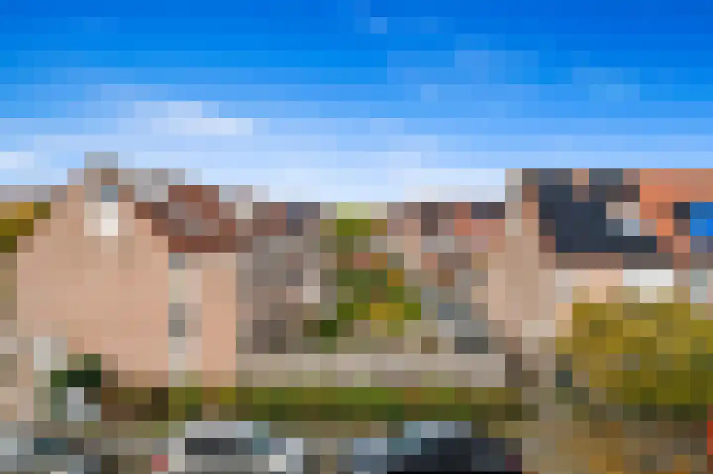 Fluitekruid 48 Den Hoorn thumbnail 22