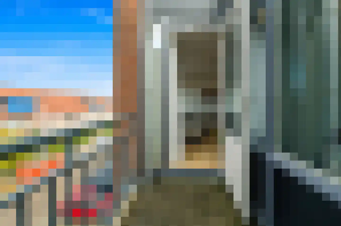 Fluitekruid 48 Den Hoorn thumbnail 23