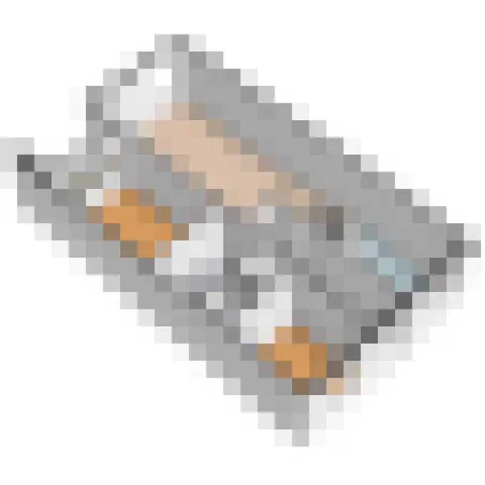 Fluitekruid 48 Den Hoorn thumbnail 35