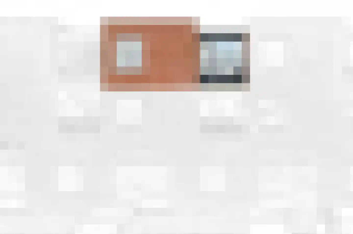 Fluitekruid 48 Den Hoorn thumbnail 4