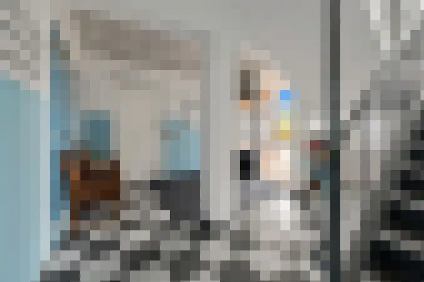 Fluitekruid 48 Den Hoorn thumbnail 6