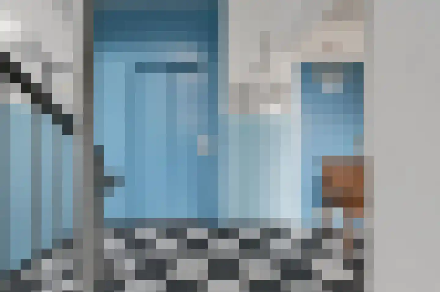 Fluitekruid 48 Den Hoorn thumbnail 8