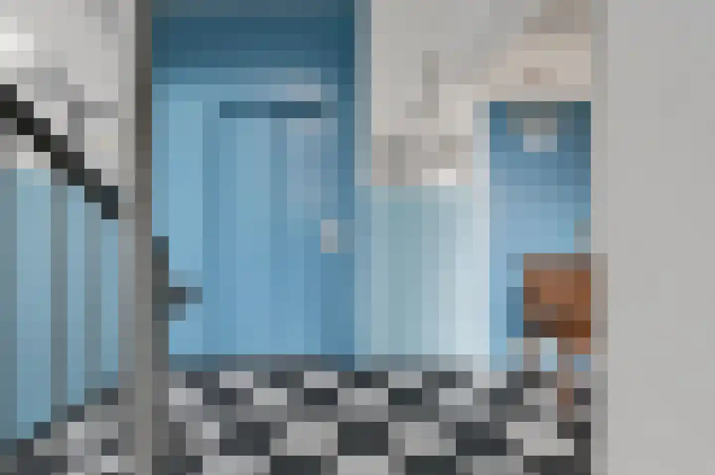 Fluitekruid 48 Den Hoorn thumbnail 8