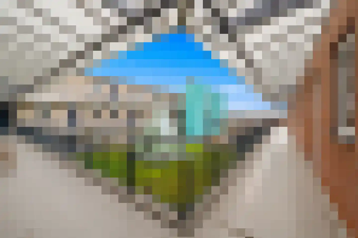 Fluitekruid 48 Den Hoorn thumbnail 9