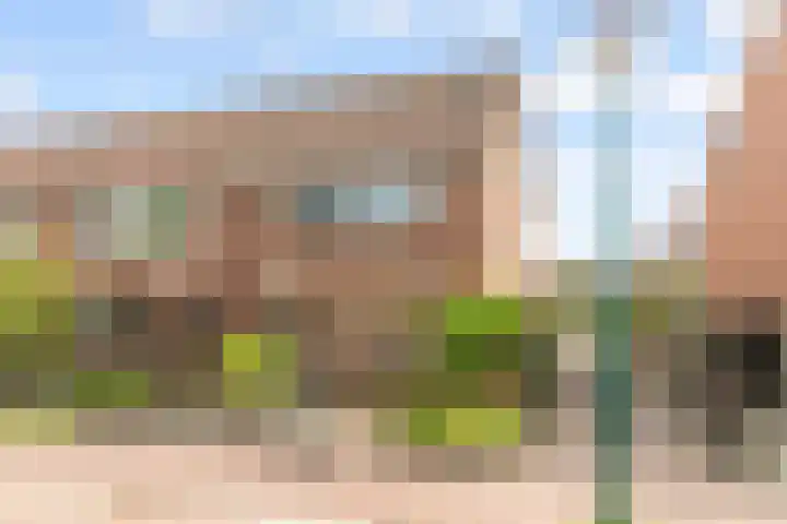 Fluitekruid 48 Odijk