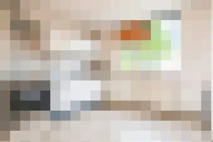 Fluitekruid 48 Odijk thumbnail 12