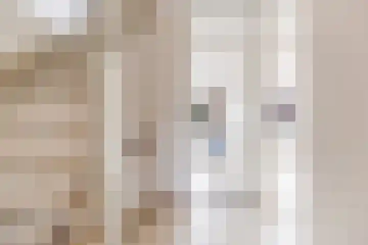 Fluitekruid 48 Odijk thumbnail 24
