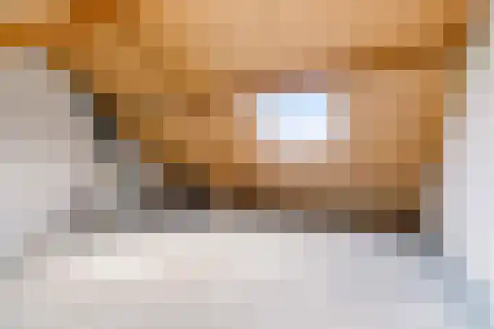 Fluitekruid 48 Odijk thumbnail 25