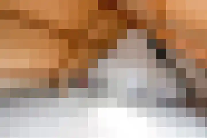 Fluitekruid 48 Odijk thumbnail 26