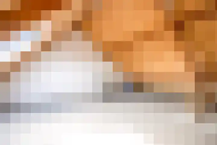 Fluitekruid 48 Odijk thumbnail 27