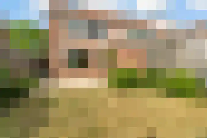 Fluitekruid 48 Odijk thumbnail 28