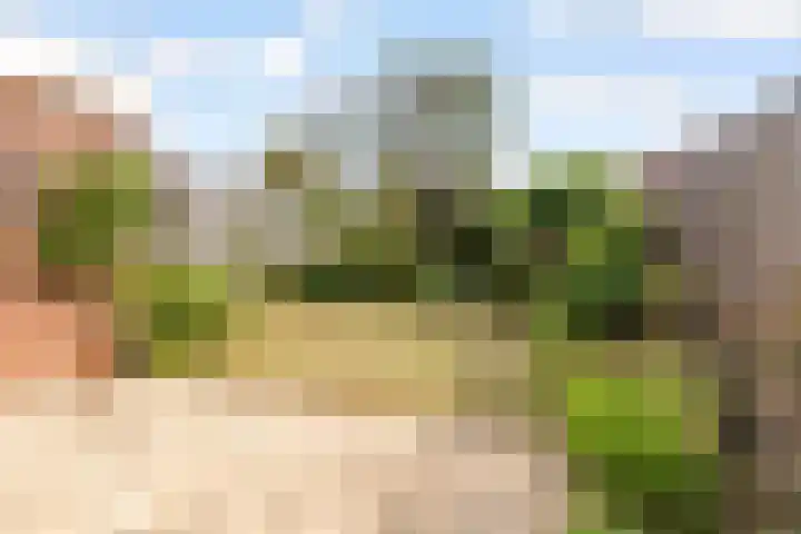 Fluitekruid 48 Odijk thumbnail 29