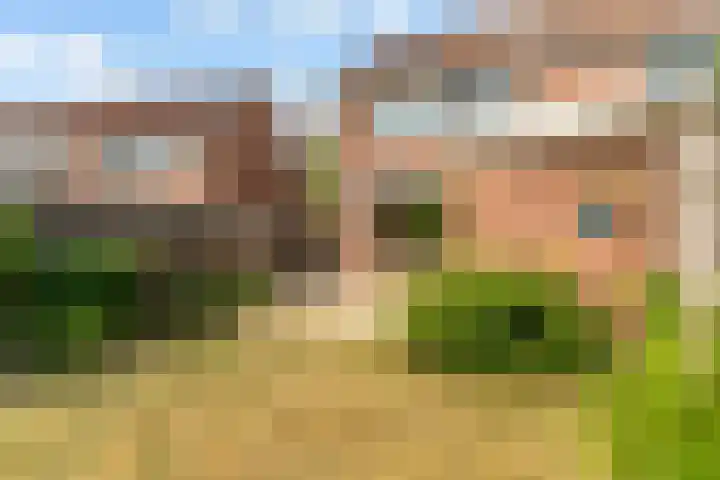 Fluitekruid 48 Odijk thumbnail 30