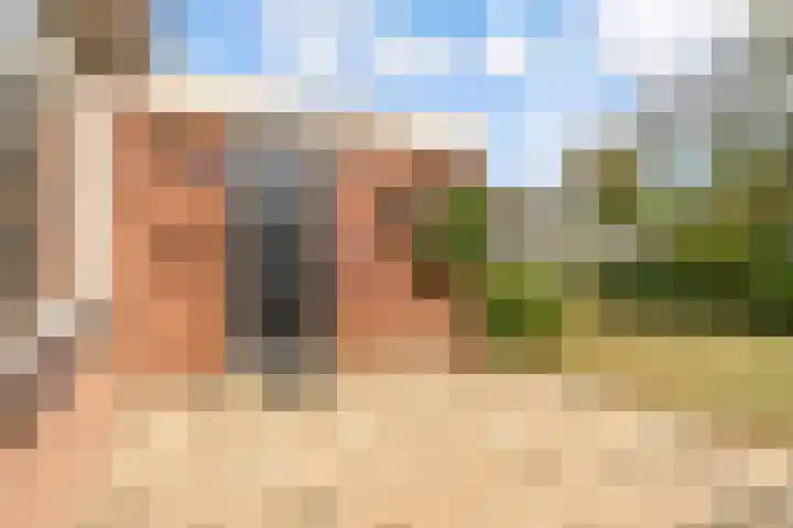 Fluitekruid 48 Odijk thumbnail 31
