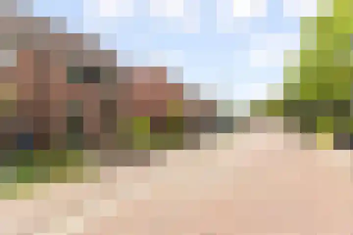 Fluitekruid 48 Odijk thumbnail 35