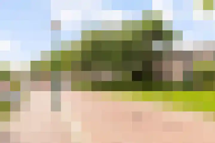 Fluitekruid 48 Odijk thumbnail 36