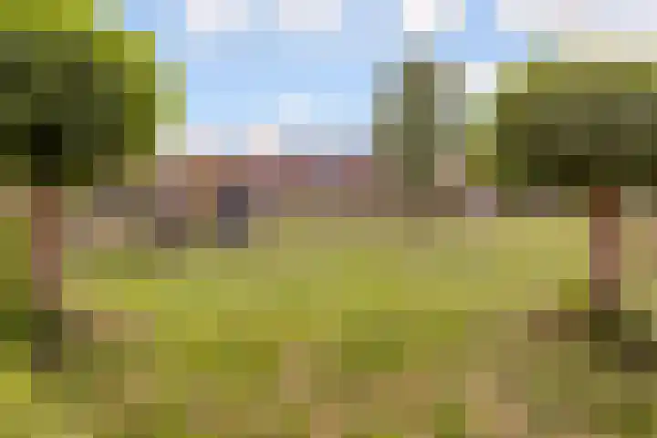 Fluitekruid 48 Odijk thumbnail 38