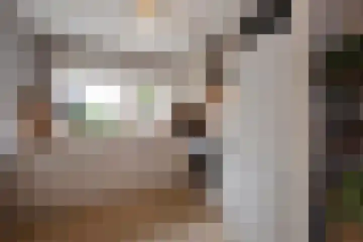 Fluitekruid 5 Den Hoorn thumbnail 15