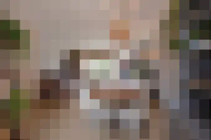 Fluitekruid 5 Den Hoorn thumbnail 17