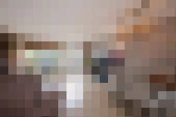 Fluitekruid 5 Den Hoorn thumbnail 18
