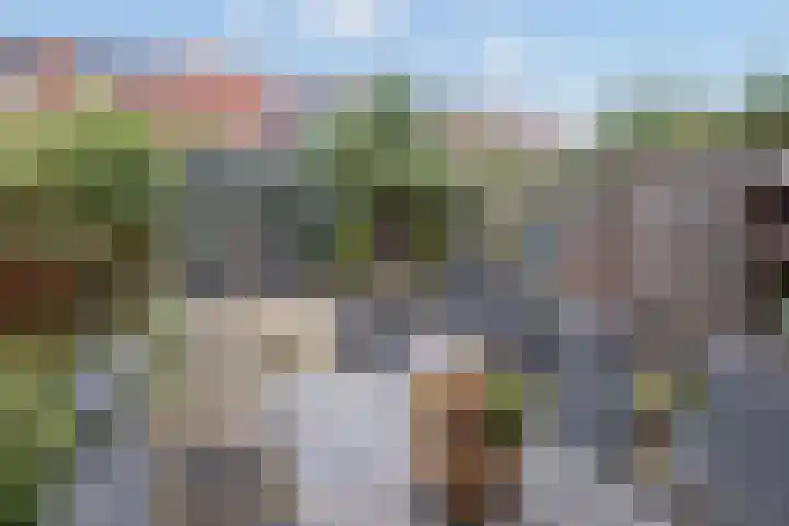 Fluitekruid 5 Den Hoorn thumbnail 19