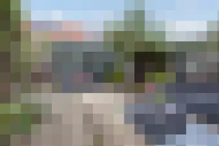 Fluitekruid 5 Den Hoorn thumbnail 20