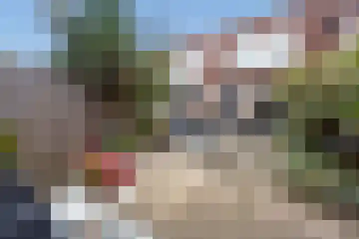 Fluitekruid 5 Den Hoorn thumbnail 21