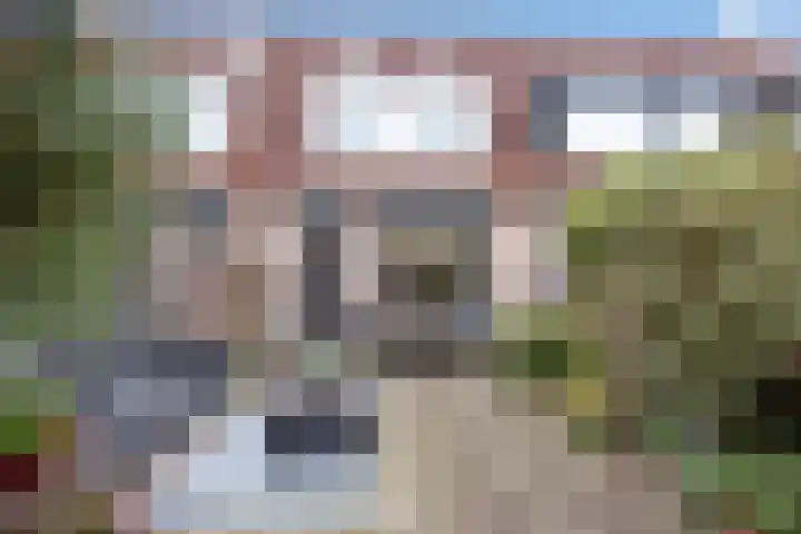 Fluitekruid 5 Den Hoorn thumbnail 22