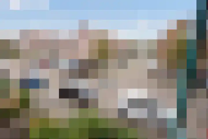 Fluitekruid 5 Den Hoorn thumbnail 25