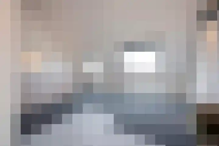Fluitekruid 5 Den Hoorn thumbnail 34