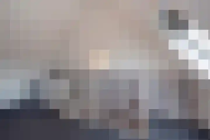 Fluitekruid 5 Den Hoorn thumbnail 36
