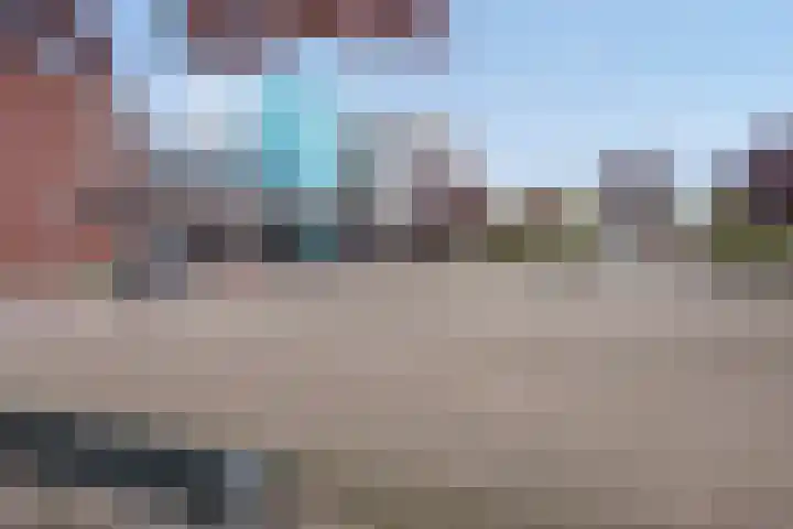 Fluitekruid 5 Den Hoorn thumbnail 37