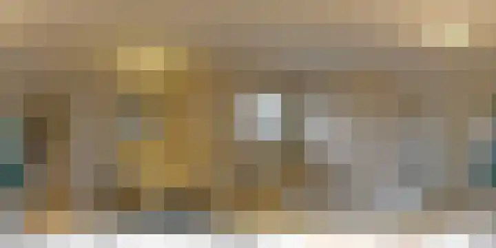 Fluitekruid 5 Den Hoorn thumbnail 38