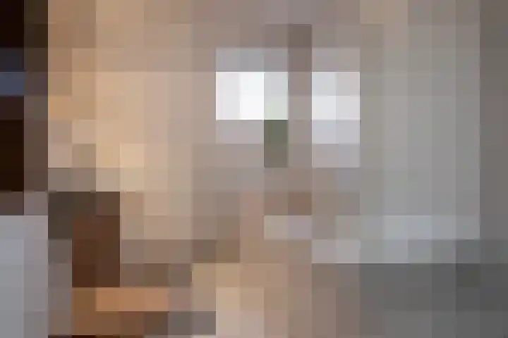 Fluitekruid 5 Den Hoorn thumbnail 4