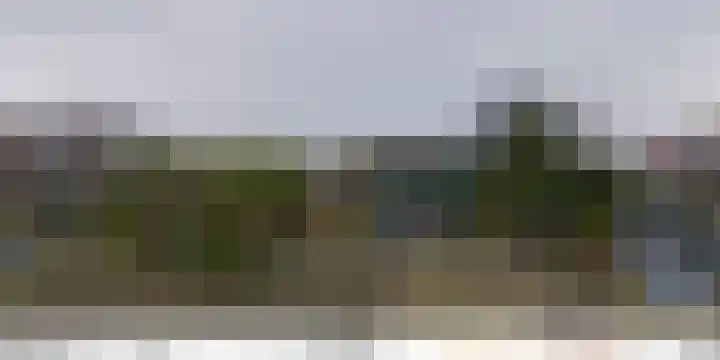 Fluitekruid 5 Den Hoorn thumbnail 41