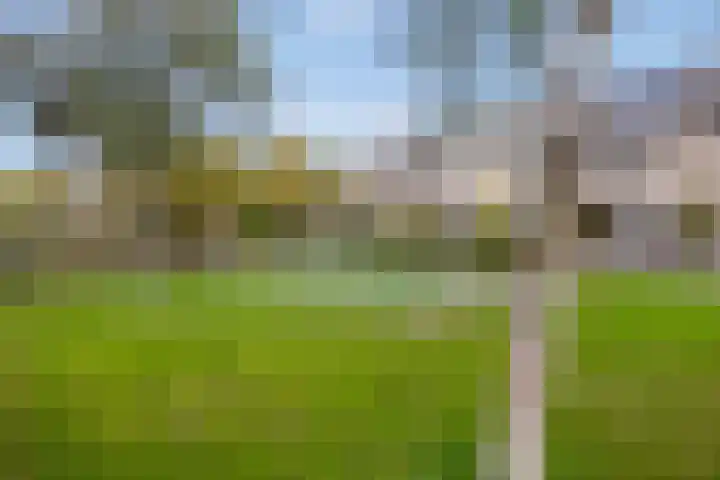 Fluitekruid 5 Den Hoorn thumbnail 5