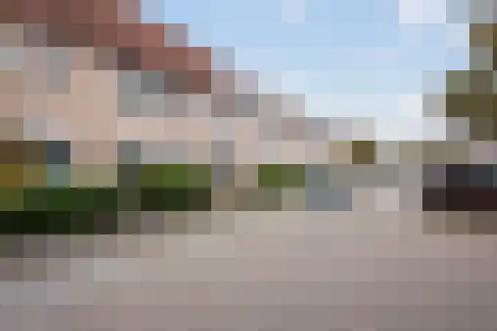 Fluitekruid 5 Den Hoorn thumbnail 6