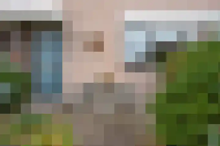 Fluitekruid 5 Den Hoorn thumbnail 7
