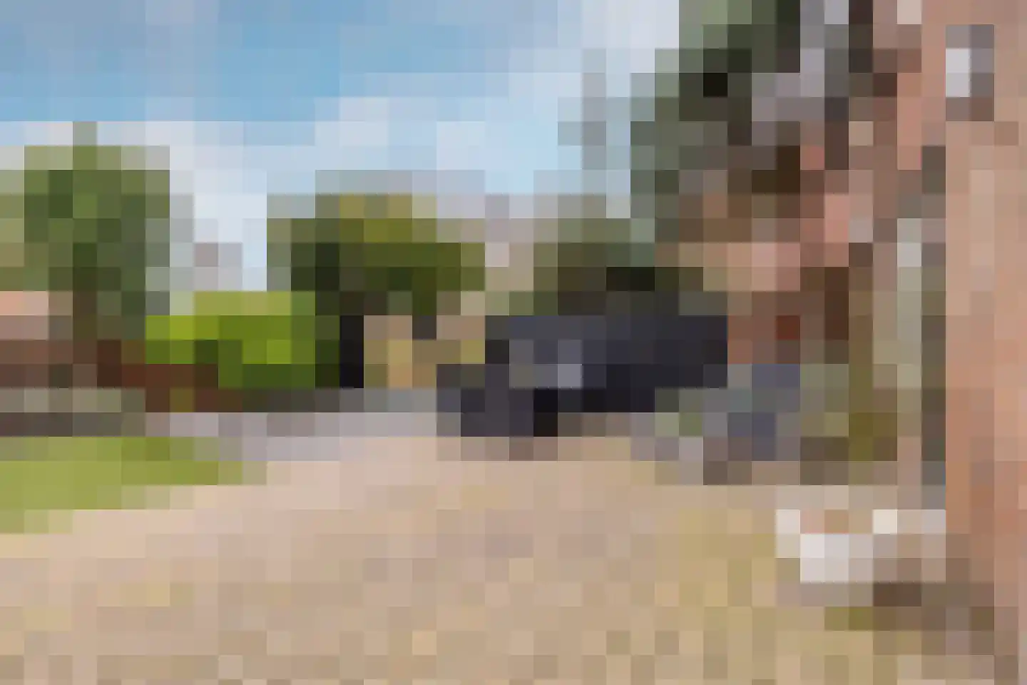 Fluitekruid 5 Purmerend thumbnail 36