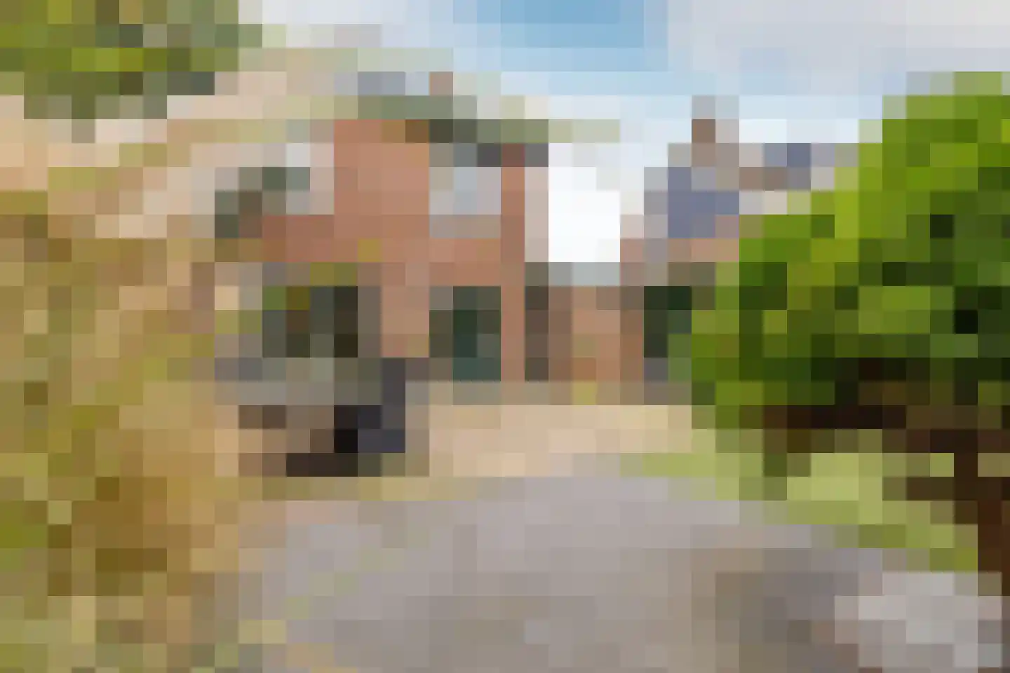 Fluitekruid 5 Purmerend thumbnail 38