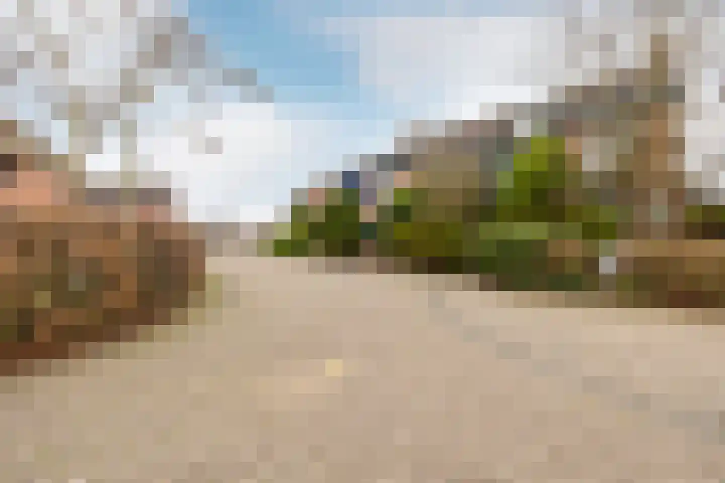 Fluitekruid 5 Purmerend thumbnail 40
