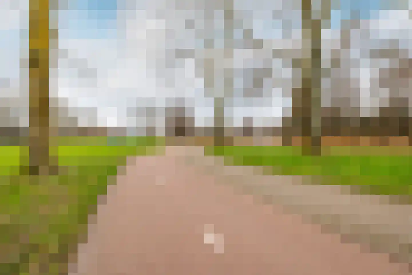 Fluitekruid 5 Purmerend thumbnail 41