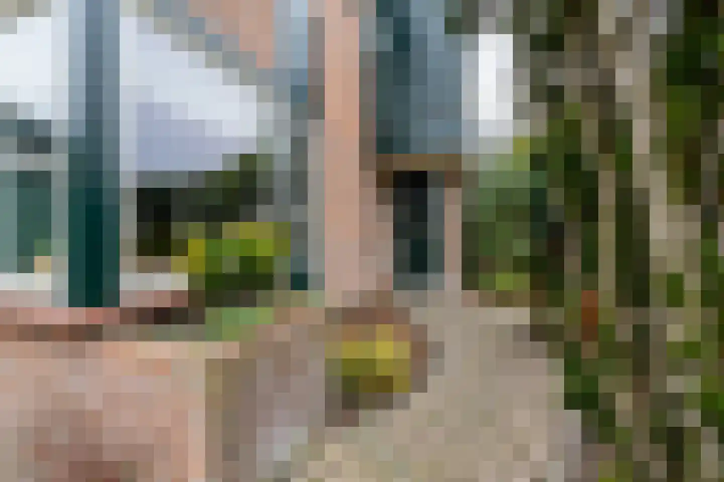 Fluitekruid 5 Purmerend thumbnail 6