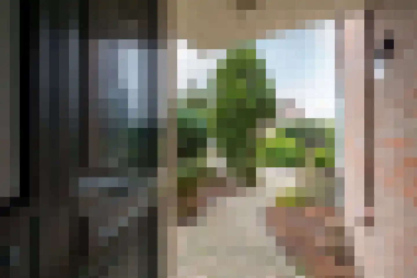 Fluitekruid 5 Purmerend thumbnail 7