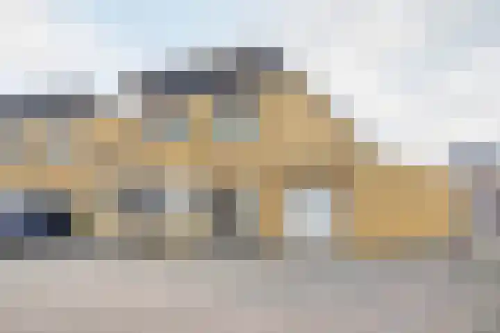 Fluitekruid 50 in Venray