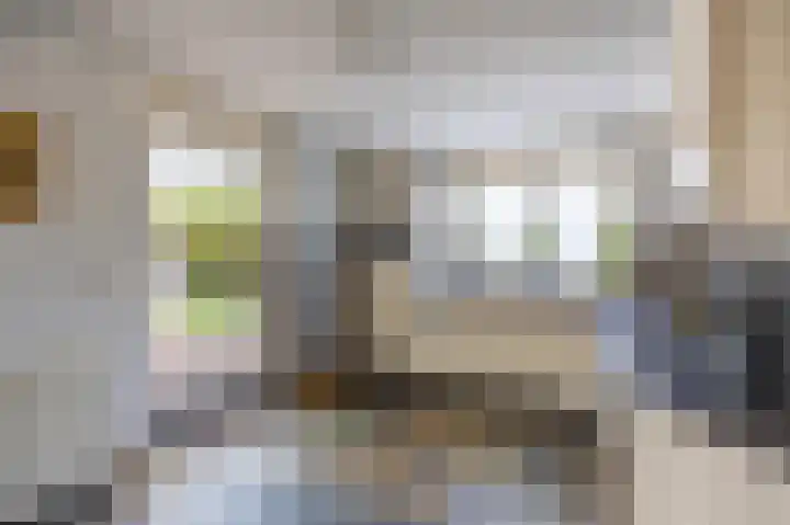 Fluitekruid 50 Venray thumbnail 14