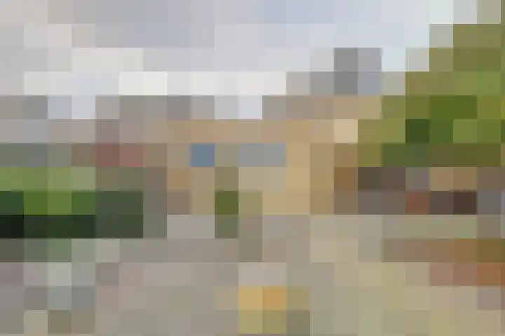 Fluitekruid 50 Venray thumbnail 29